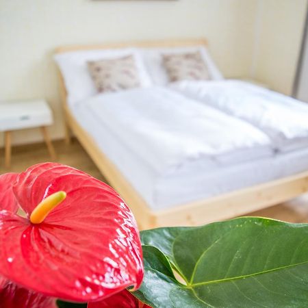 U Cmelaku Hotell Červená Voda Exteriör bild