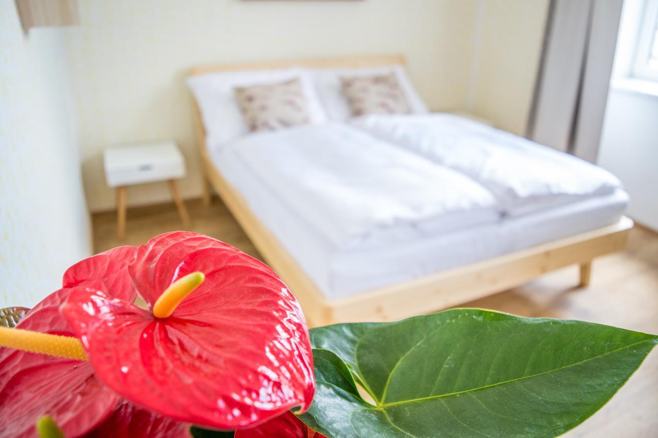 U Cmelaku Hotell Červená Voda Exteriör bild